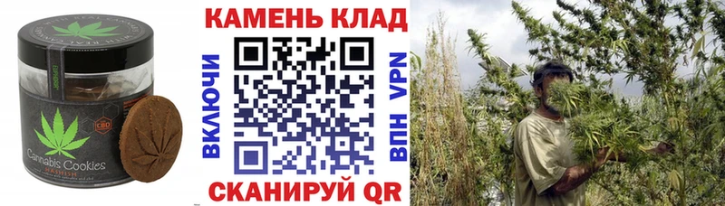 Еда ТГК марихуана  KRAKEN   Мурино 