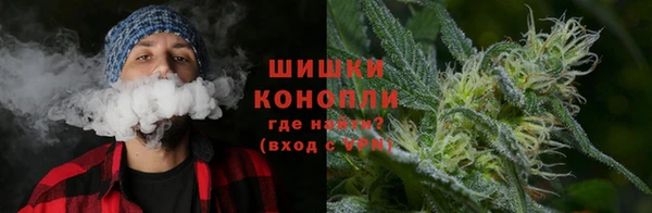 дурь Надым