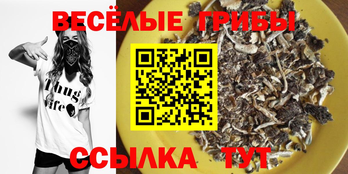 Галлюциногенные грибы Psilocybe  Вход с VPN  Мурино  Псилоцибиновые грибы прущие грибы 