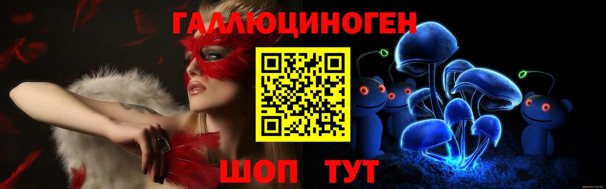 Псилоцибиновые грибы GOLDEN TEACHER  Мурино 